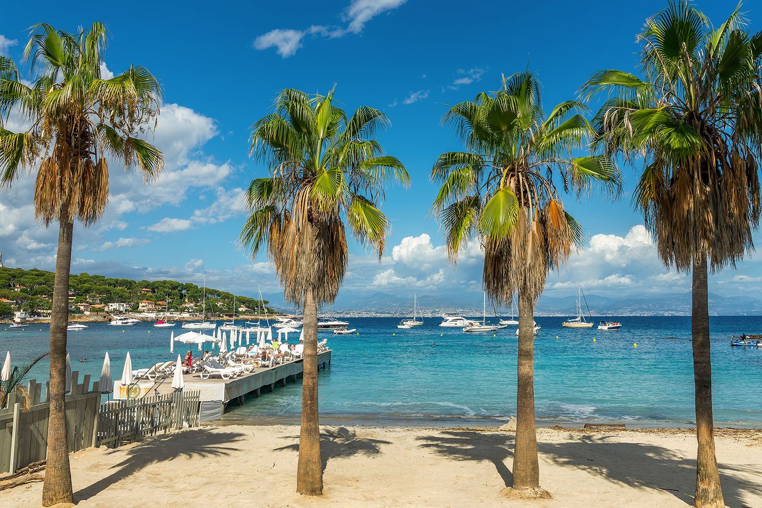 A sandy beach with palm trees overlooking a pier and calm blue sea, dotted with boats, under a clear sky with fluffy clouds.