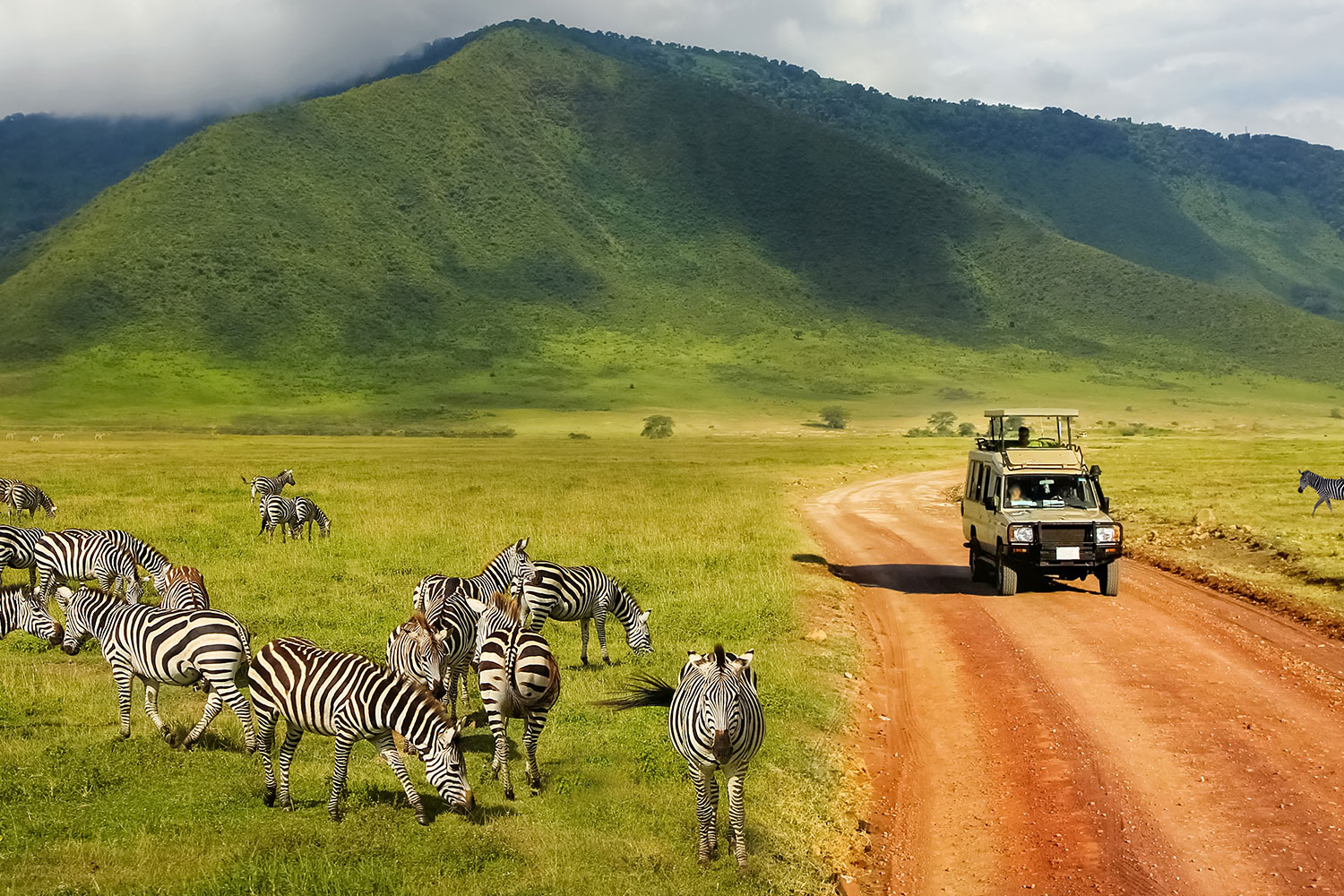 Tanzania Safari: Serengeti & Ngorongoro