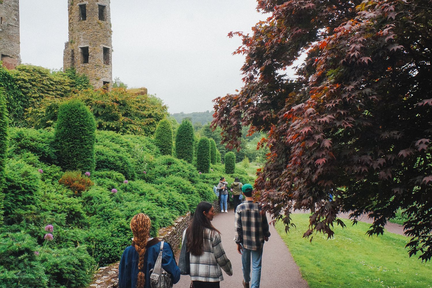 People walking on a path beside lush gardens and tall, ivy-covered ruins, under overcast skies, with a large tree on the right.