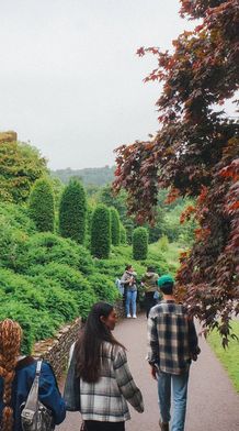 People walking on a path beside lush gardens and tall, ivy-covered ruins, under overcast skies, with a large tree on the right.