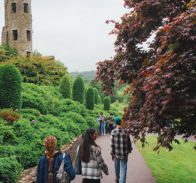 People walking on a path beside lush gardens and tall, ivy-covered ruins, under overcast skies, with a large tree on the right.