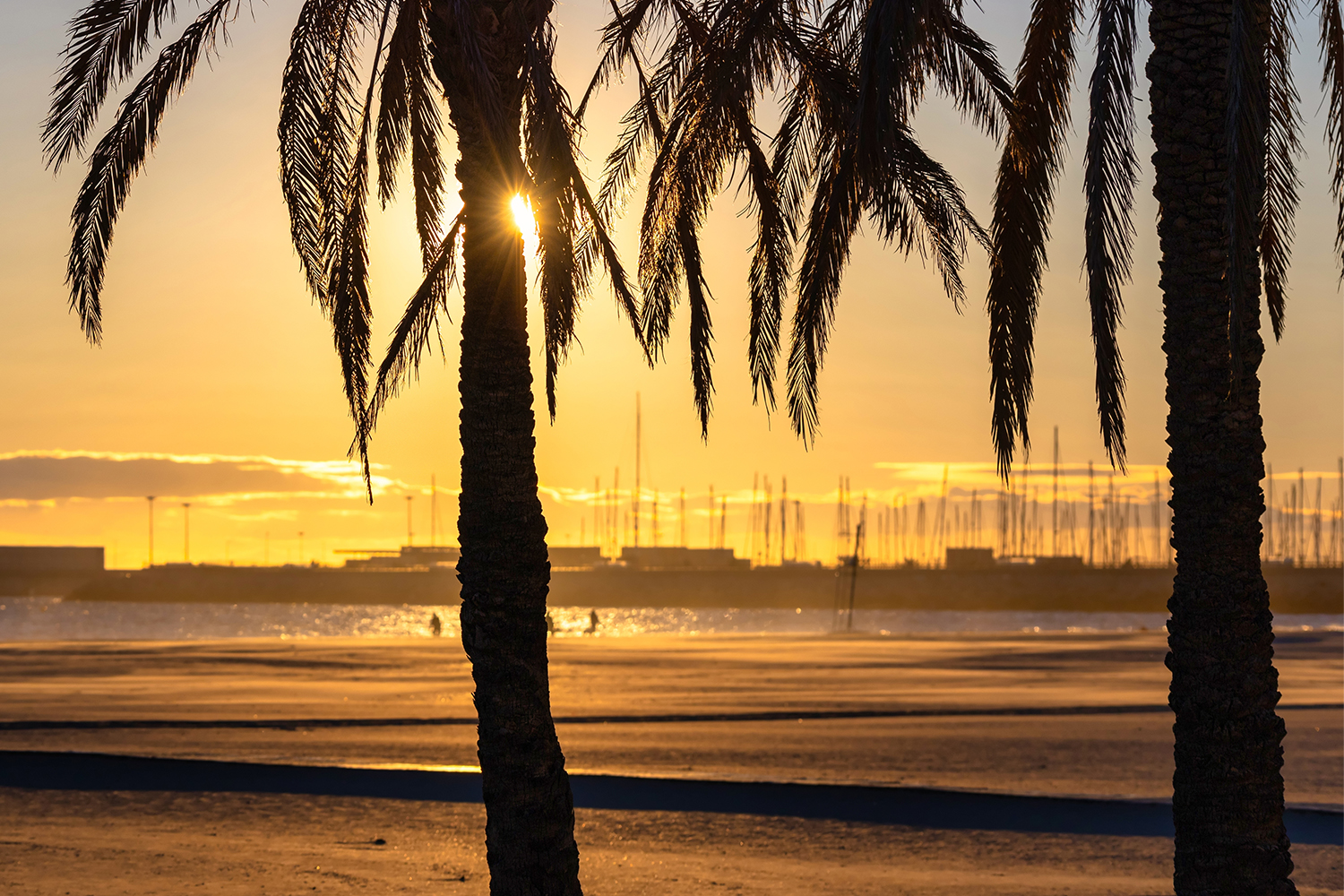 Solar Eclipse in Valencia: Barcelona, Ibiza & Valencia (Plus)