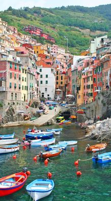 Colorful houses on a steep hillside overlook a small harbor with numerous boats floating on clear turquoise waters.