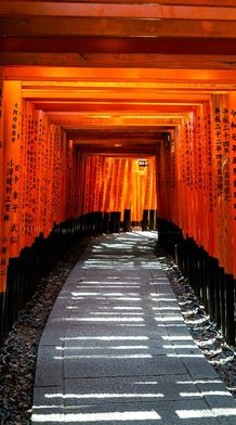 A pathway lined with rows of vibrant orange torii gates, featuring Japanese inscriptions, creating a tunnel of light and shadow.