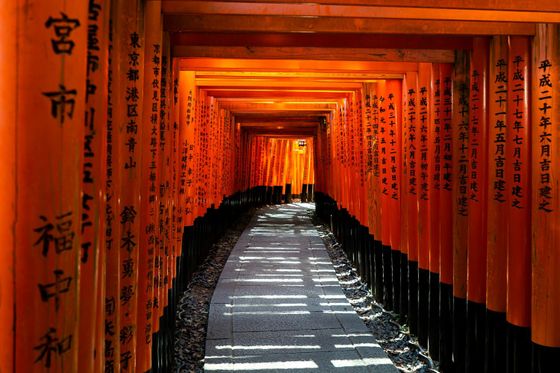 A pathway lined with rows of vibrant orange torii gates, featuring Japanese inscriptions, creating a tunnel of light and shadow.