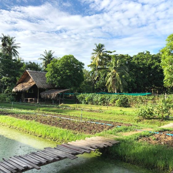 A lush garden with tropical trees, a small thatched-roof hut, and a wooden footbridge over a narrow waterway under a partly cloudy sky.