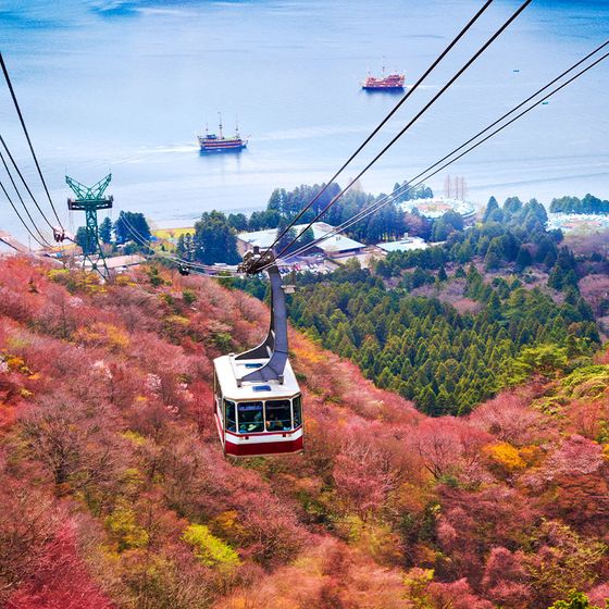 A cable car travels over vibrant autumn foliage, with a scenic view of a lake and boats in the background.