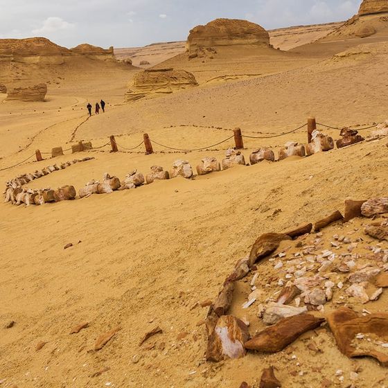 Desert landscape with rocky formations and fenced pathways. A group of people walk in the distance under a cloudy sky.