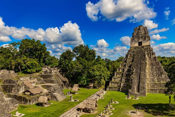 Ancient ruins surrounded by palm trees and lush greenery