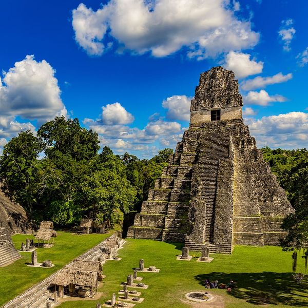 Ancient ruins surrounded by palm trees and lush greenery