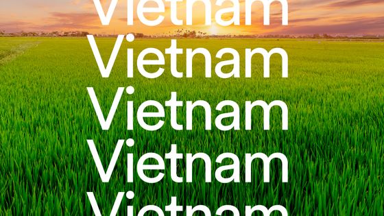 Text "Vietnam" repeated five times over a lush green rice field at sunset.