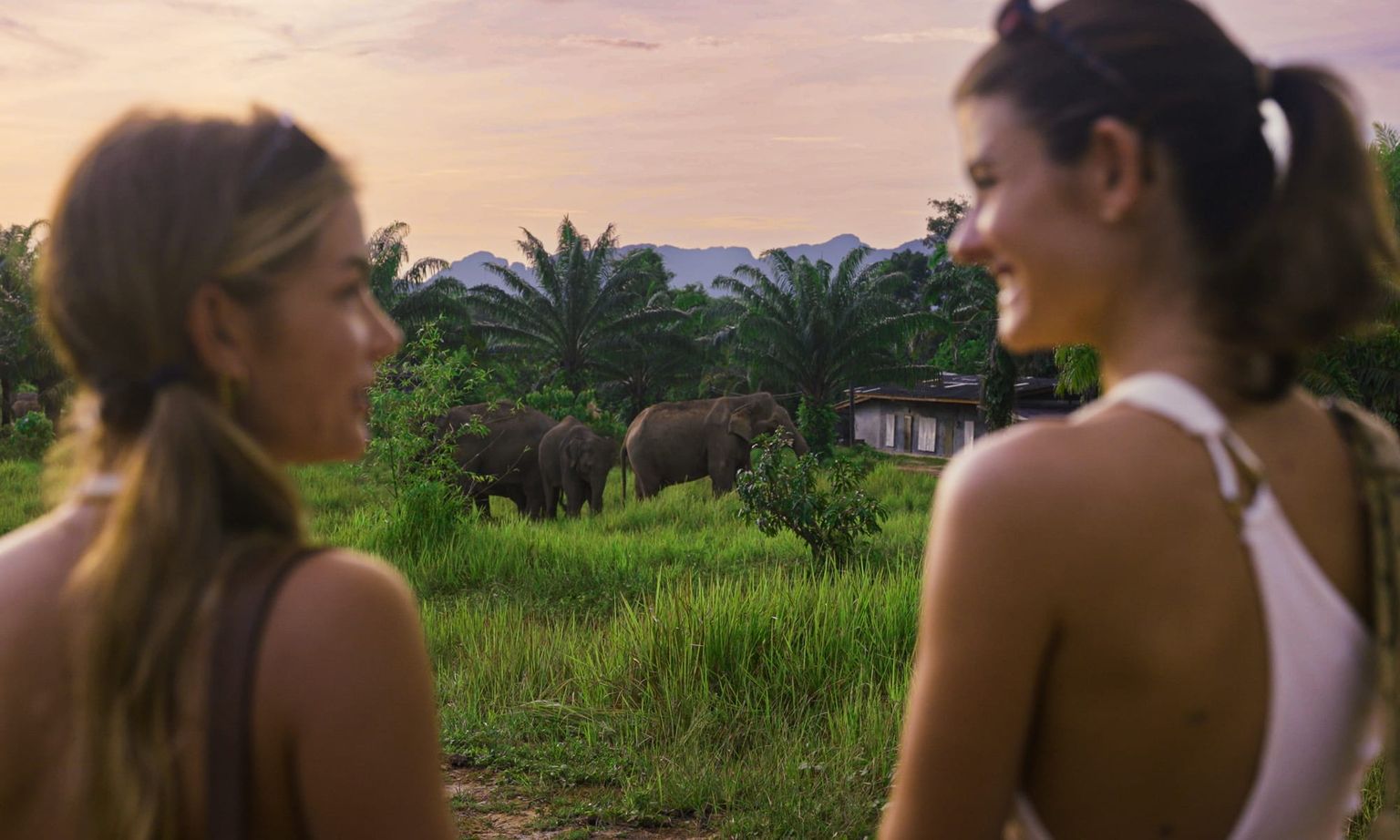 Two people in focus watch elephants grazing in a lush green field under a sunset sky, with palm trees and mountains in the background.