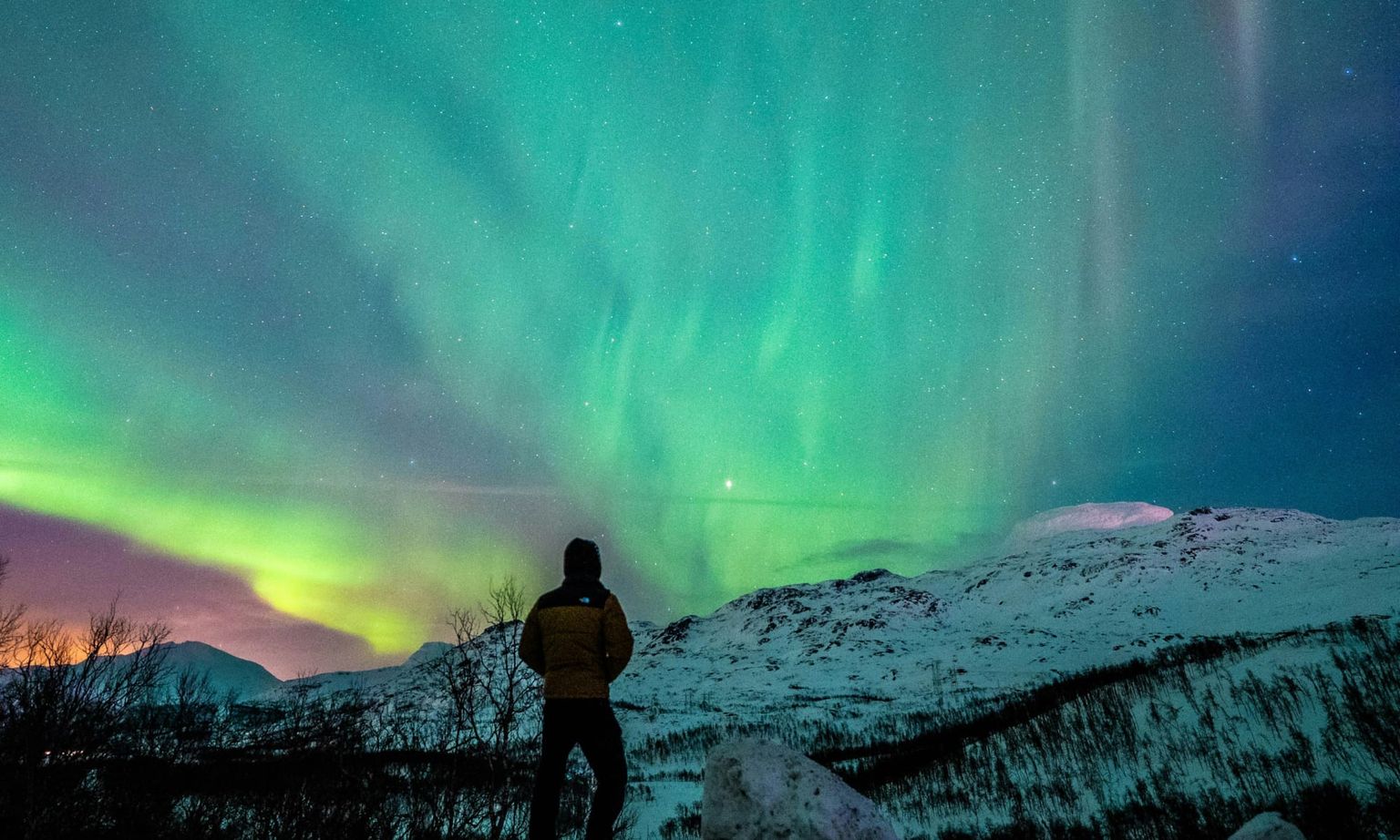 A person stands on a snowy landscape, gazing at vibrant green and yellow auroras dancing across the night sky above snowy mountains.