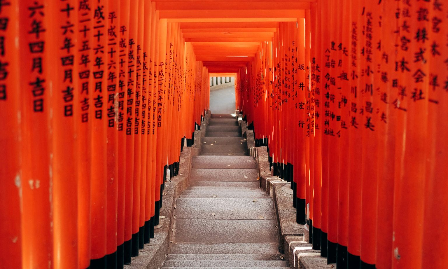 Pathway through red torii gates with Japanese inscriptions, leading down stone steps, creating a tunnel-like effect.