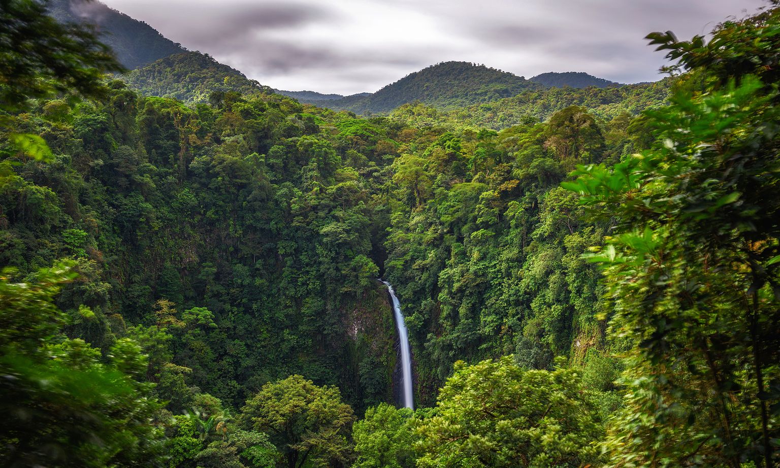 Lush green rainforest with a tall, narrow waterfall cascading into a hidden valley, surrounded by misty mountains in the background.