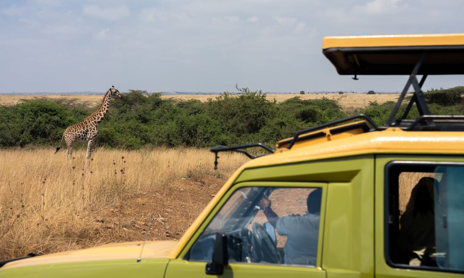 A safari vehicle in the foreground with people inside, observing a giraffe standing in a grassy savanna landscape.
