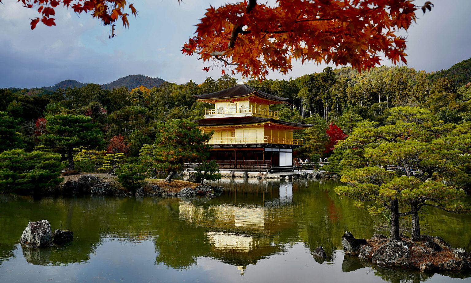 A serene view of Kinkaku-ji, the Golden Pavilion, surrounded by lush trees and reflected in a tranquil pond, with vibrant red leaves in the foreground.