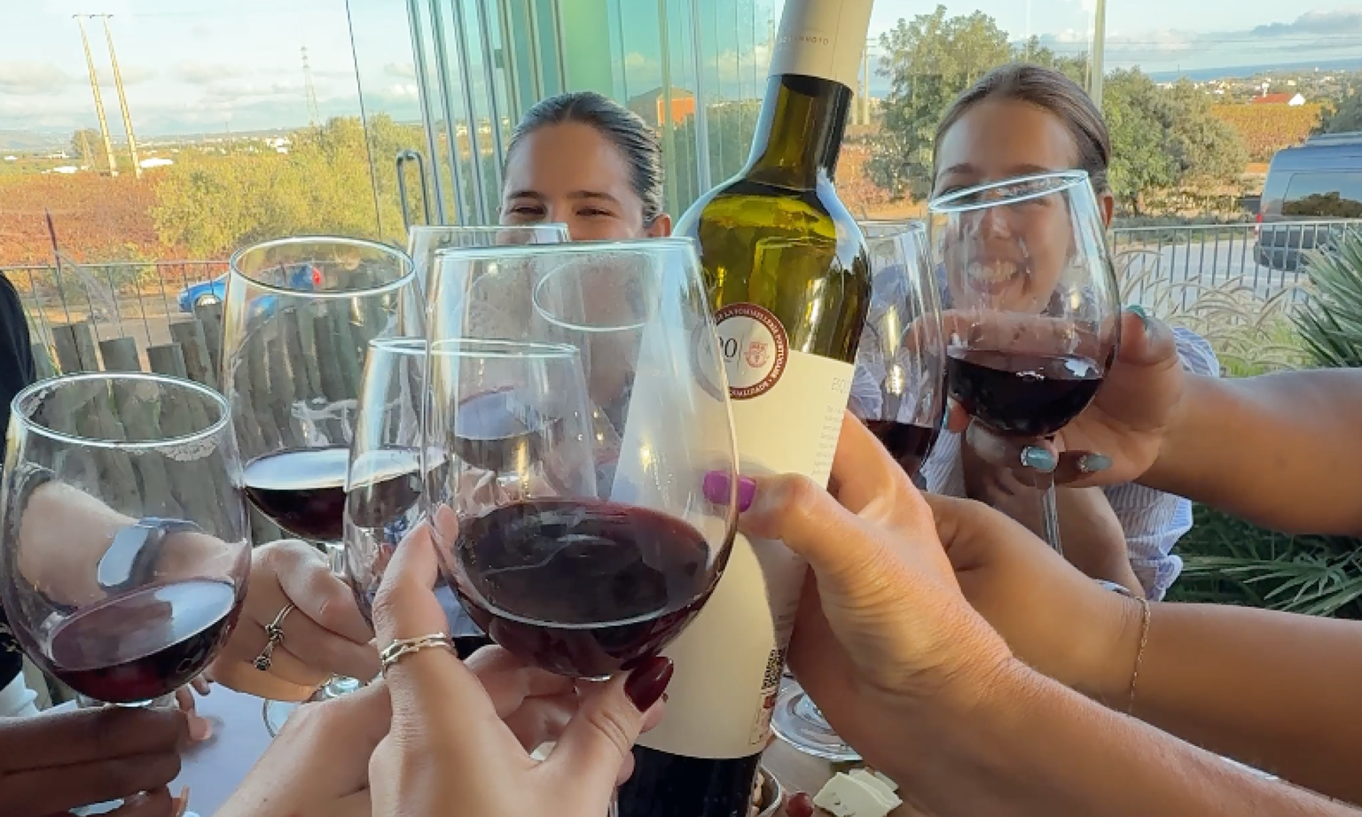 A group of people clinking glasses of red wine and a red wine bottle