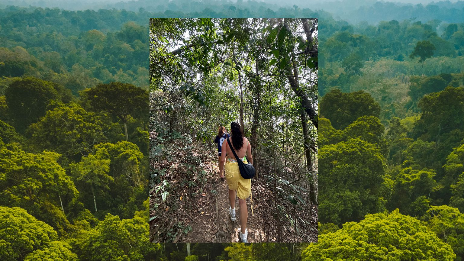 An image of two people walking down a rainforest path layered over an image of the lush green Amazon Rainforest canopy