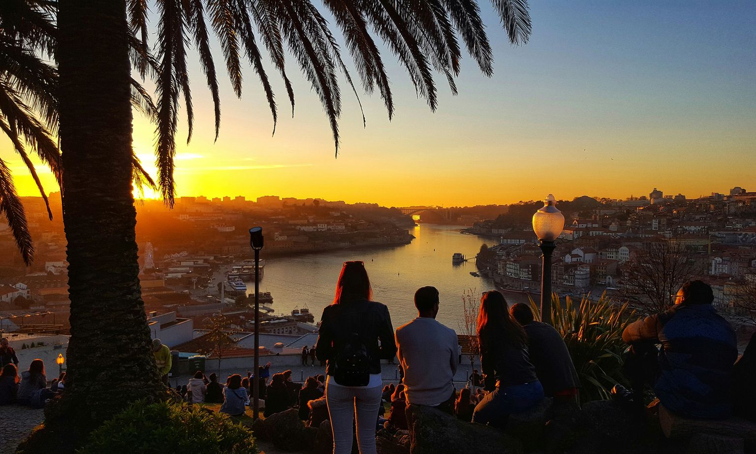 People sitting under a palm tree, enjoying a vibrant sunset view over a river and cityscape.