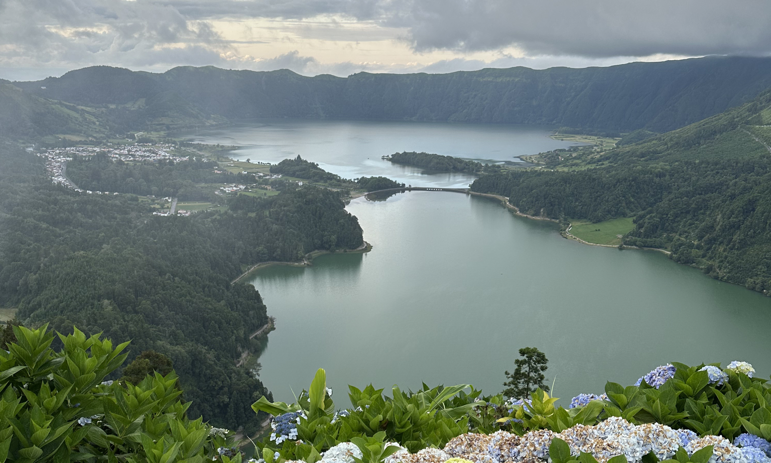 A mountaintop views of two lakes surrounded by mountains, lush greenery, and hydrangeas