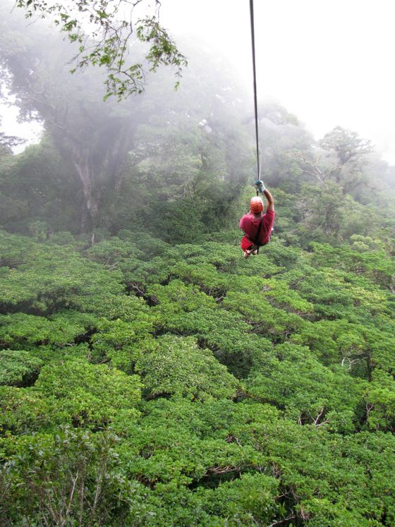 A person in a red outfit zip-lining through a dense, misty forest canopy, surrounded by lush green trees.