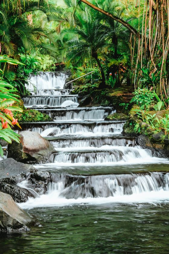 A tropical waterfall cascades down tiered rocks, surrounded by lush green foliage and tall plants.