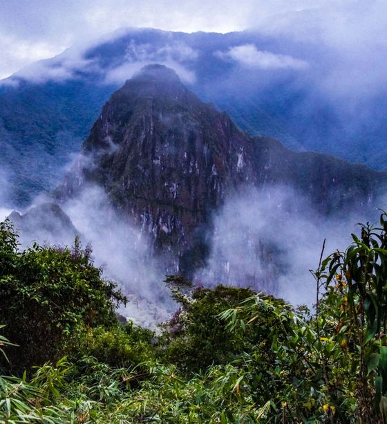 Misty mountainous landscape with lush green vegetation in the foreground and a prominent peak shrouded in clouds and fog in the background.