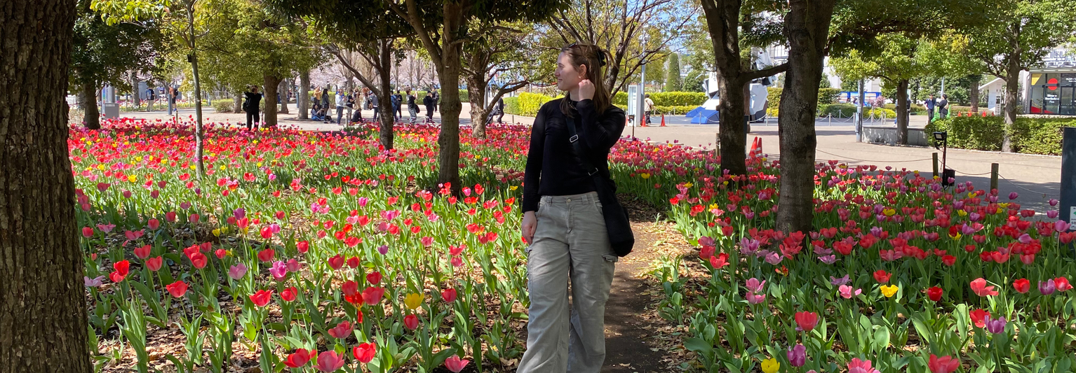 A person stands on a path surrounded by vibrant pink and red tulips under trees, with people and buildings in the background.