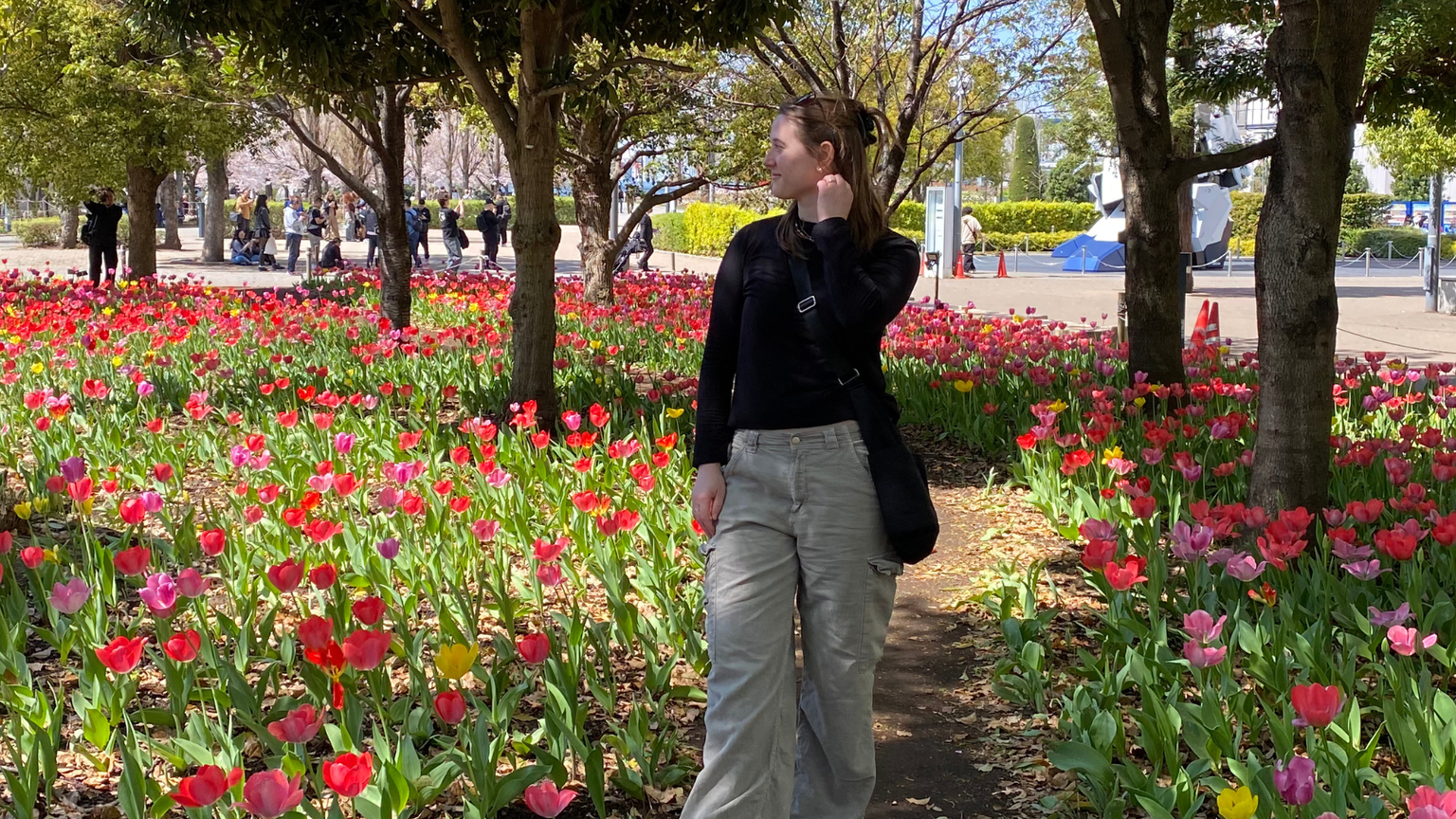 A person stands on a path surrounded by vibrant pink and red tulips under trees, with people and buildings in the background.