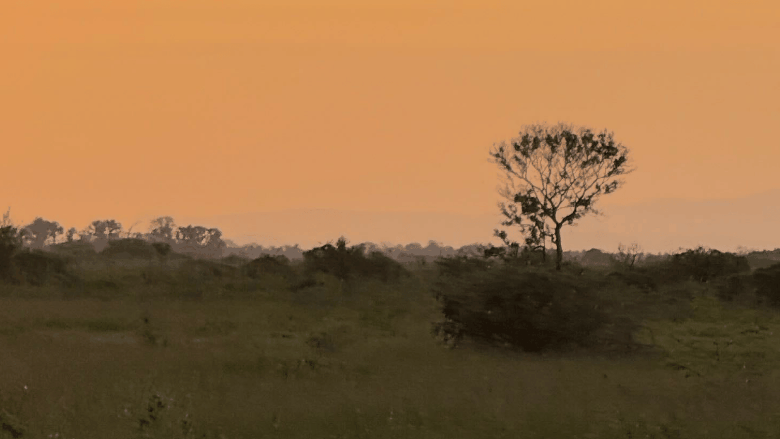 The vast wetlands of Brazil's Pantanal at sunset