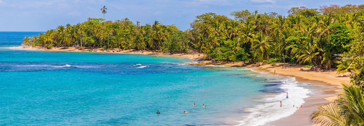 Tropical beach with turquoise waters, golden sand, and lush palm trees. People swimming and relaxing in the bright coastal scene.