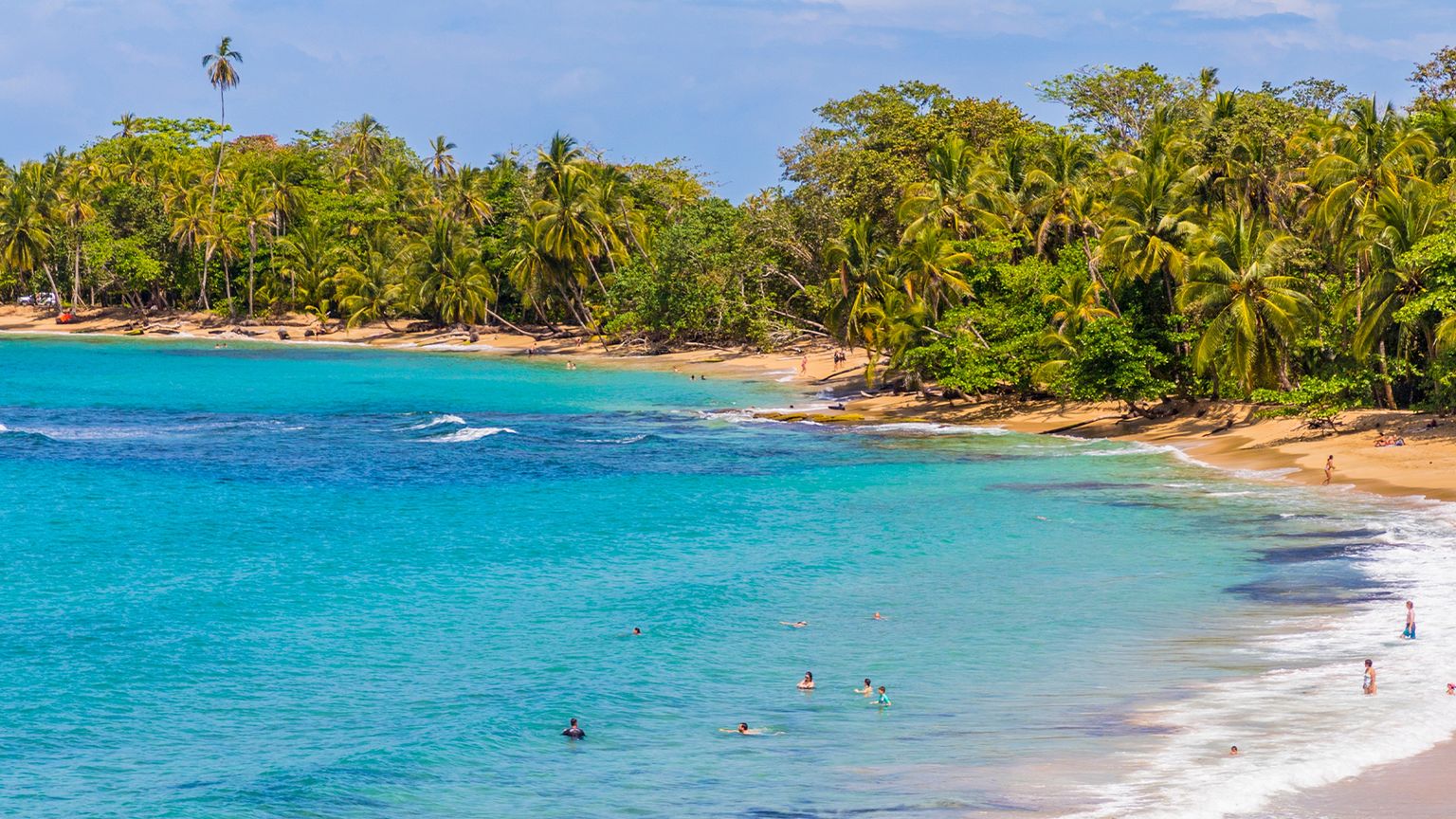 Tropical beach with turquoise waters, golden sand, and lush palm trees. People swimming and relaxing in the bright coastal scene.