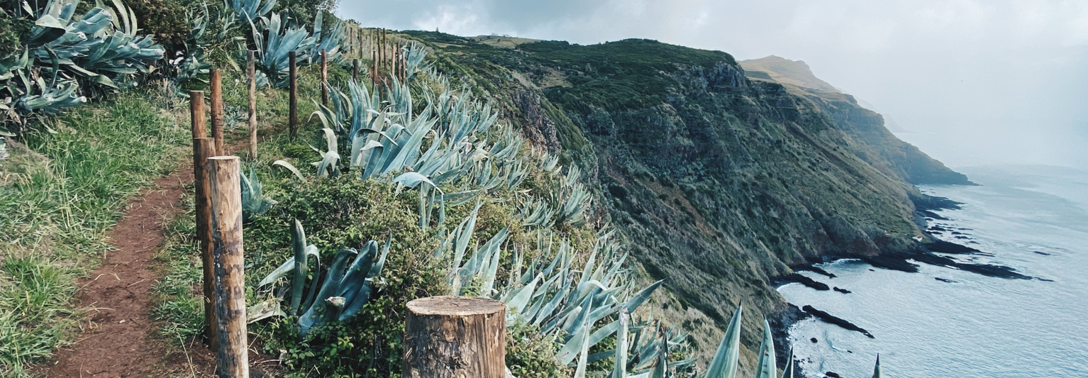A dirt path lined with wood posts winding along a greenery-covered seaside cliff