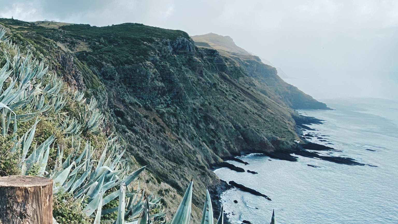 A dirt path lined with wood posts winding along a greenery-covered seaside cliff