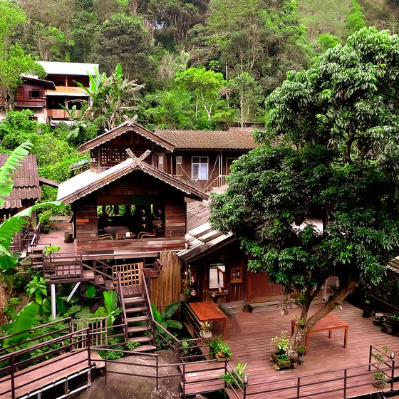Rustic wooden house surrounded by lush greenery, with a spacious deck, nestled in a tropical setting with dense foliage and other similar structures nearby.