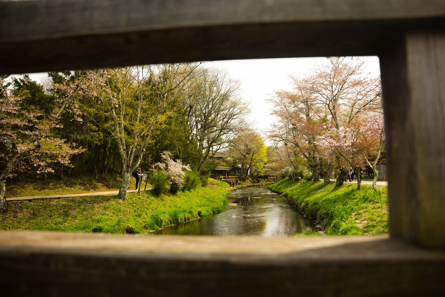 View through a wooden frame of a serene river flanked by blossoming trees and lush greenery under a cloudy sky.