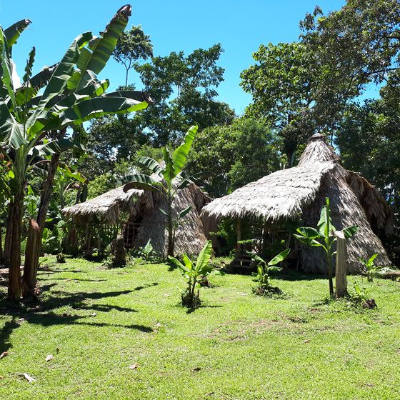 Tropical scene with grass huts, banana trees, and lush greenery under a clear blue sky.
