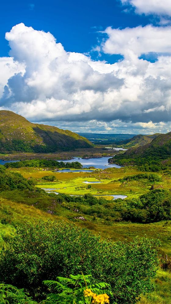 Scenic view of green hills and valleys with small lakes under a blue sky with white clouds.