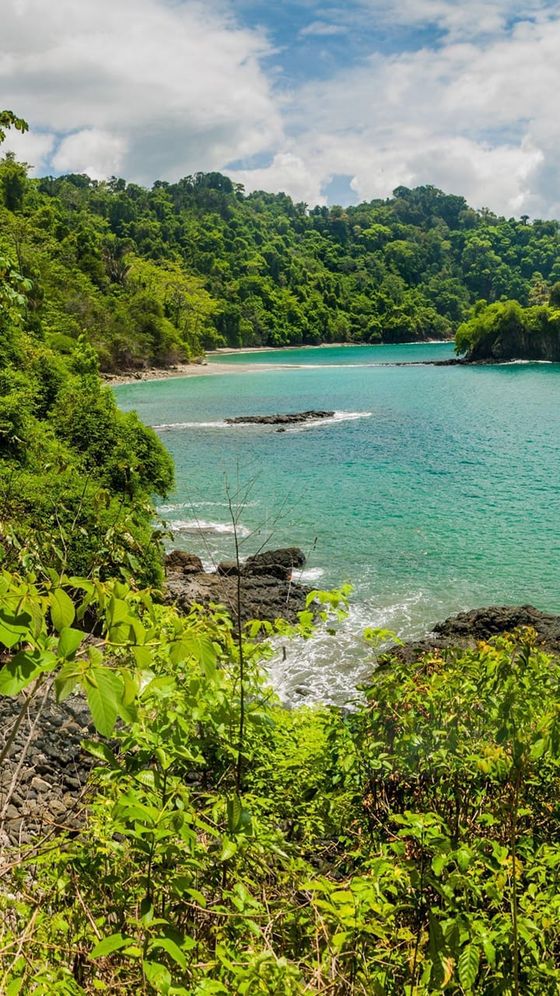 A lush green landscape surrounds a serene turquoise bay with gentle waves, rocky shoreline, and dense forest under a partly cloudy sky.