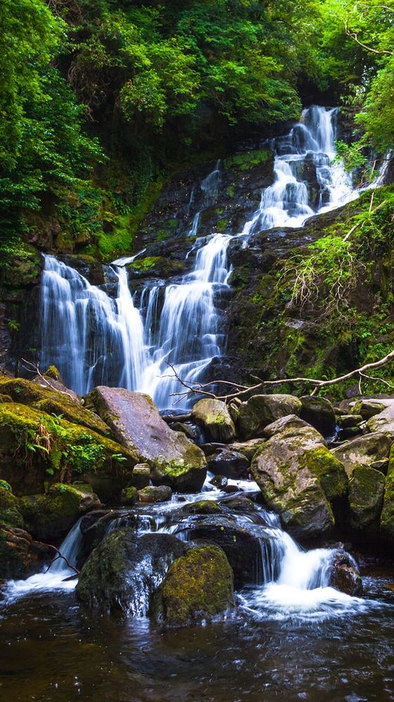 A scenic waterfall cascades over moss-covered rocks surrounded by lush, green foliage in a forest setting.