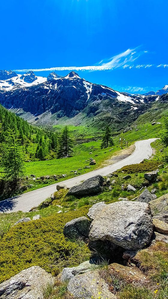 A winding mountain road surrounded by lush green grass, rocks, and trees, leading towards snow-capped peaks under a bright blue sky.