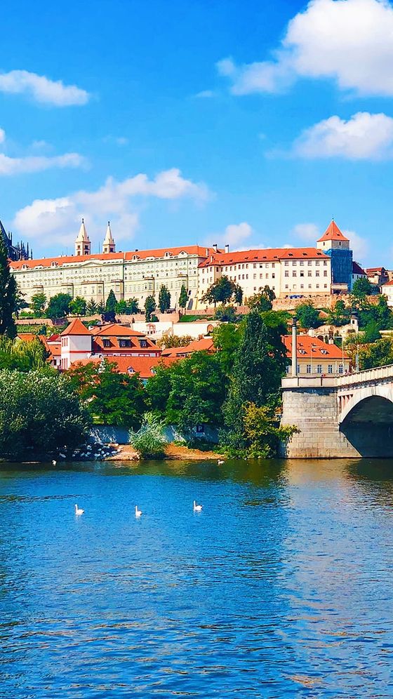 View of a historic cityscape with red-roofed buildings, a bridge, and swans swimming in a river under a bright blue sky.
