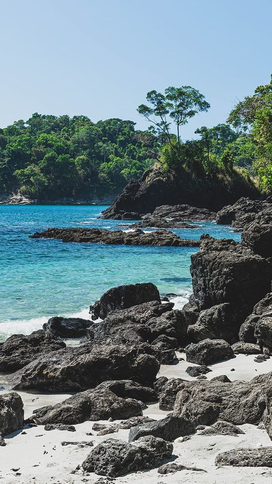 Rocky beach with dark stones, clear turquoise waters, and lush green trees in the background under a clear blue sky.