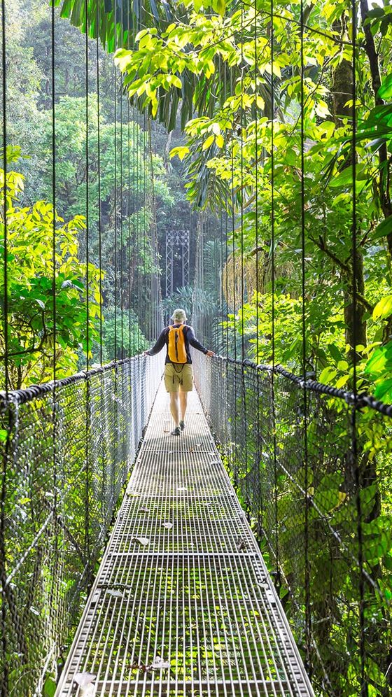 A person with a backpack walks across a metal suspension bridge surrounded by lush green rainforest foliage.