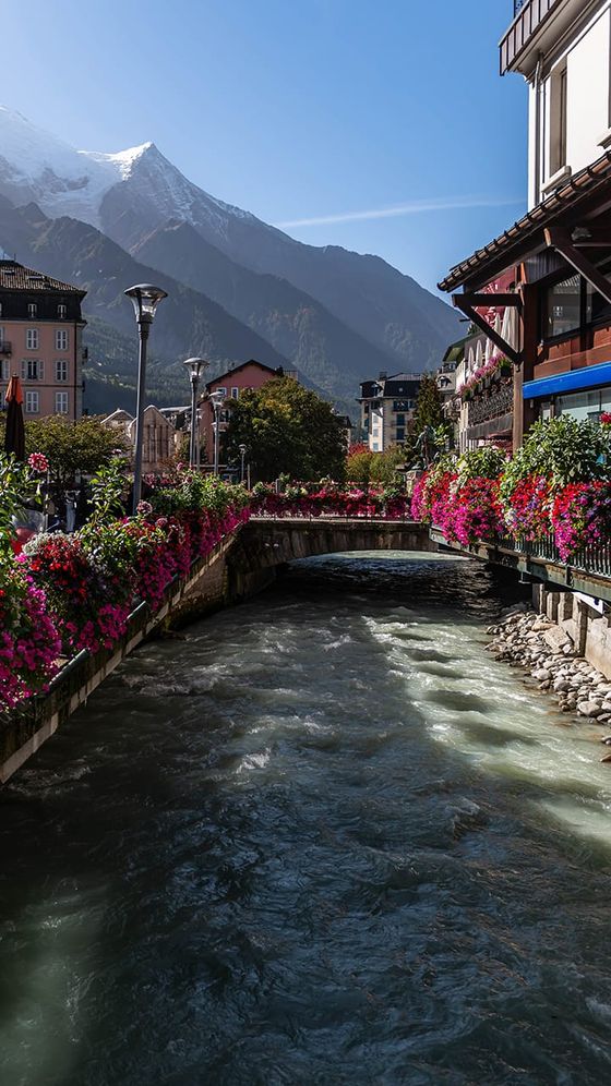 A scenic mountain town with a flowing river, vibrant pink flowers on the banks, and buildings under a clear blue sky with snow-capped peaks in the distance.