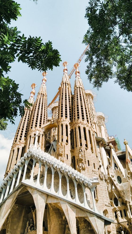 View of Sagrada Família's intricate towers and stone facade under a clear blue sky, framed by green tree branches.