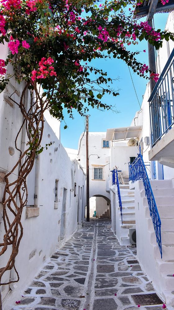 Narrow stone-paved alley with white buildings and blue accents, adorned with blooming pink bougainvillea under a clear blue sky.