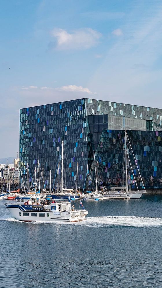 Boat passing modern glass building with colorful panels by a marina with moored sailboats on a sunny day.