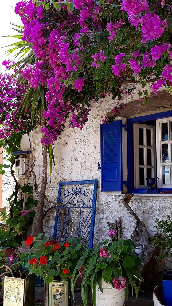 White stone house with blue shutters, vibrant purple bougainvillea, potted plants, and a decorative metal gate leaning against the wall.